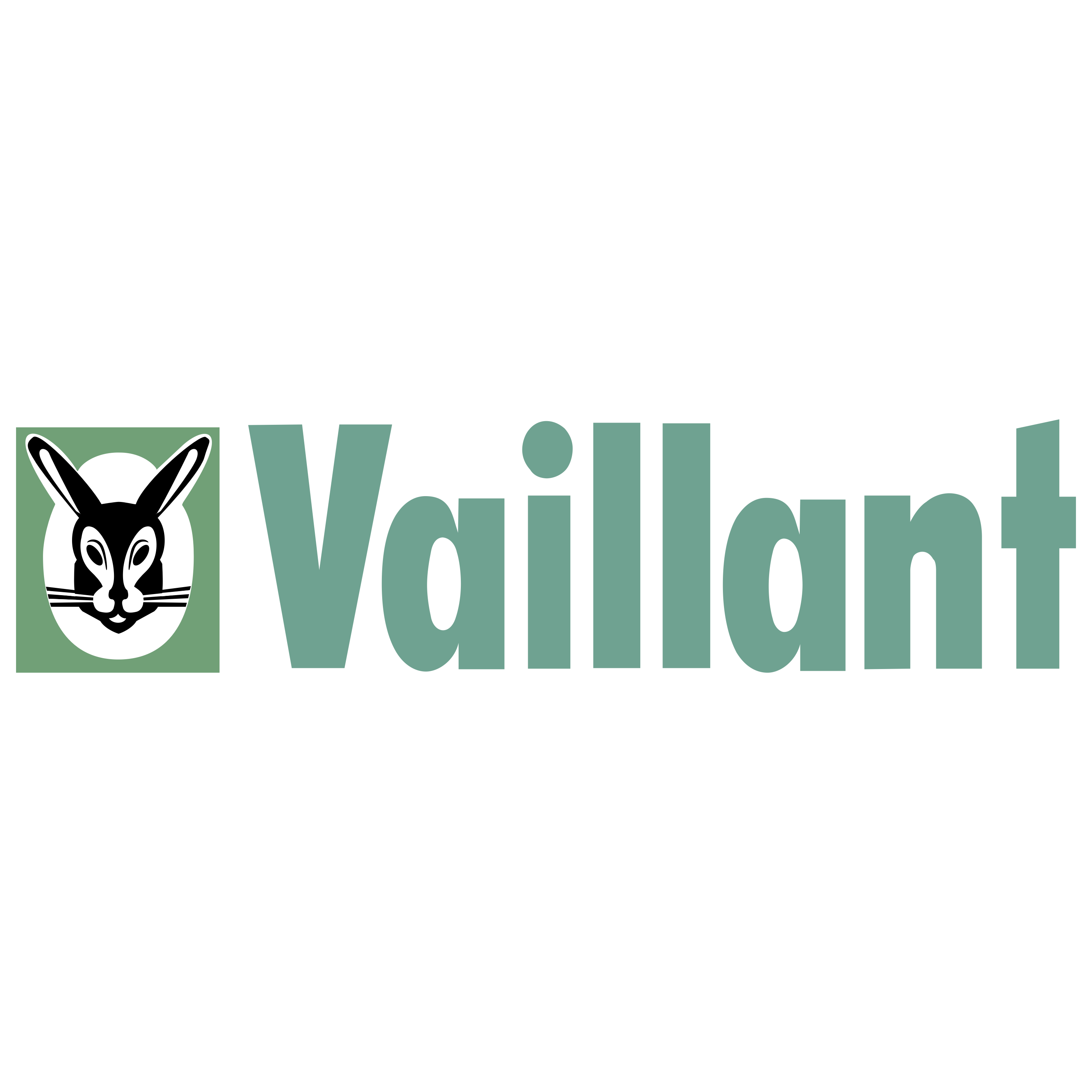 Vaillant