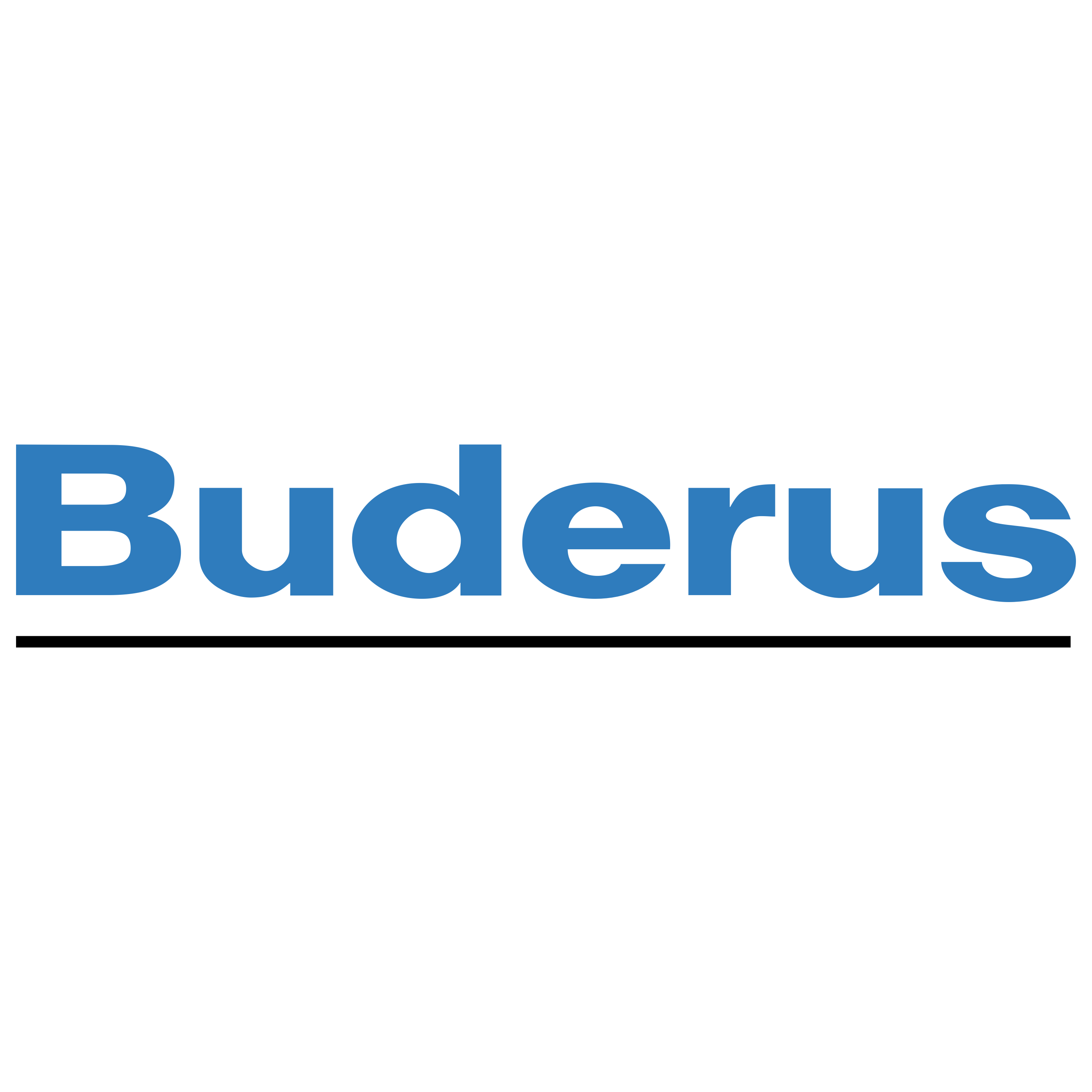 Buderus